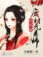 小说：兽王霸宠：惊世元素师，作者：月依明