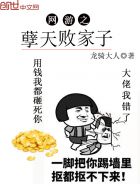 小说：网游之孽天败家子，作者：龙骑大人