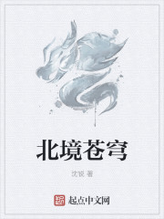 小说：北境苍穹，作者：沈锐