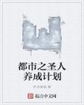 小说：都市之圣人养成计划，作者：乔戈里峰