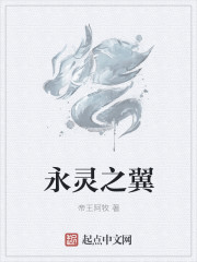 小说：永灵之翼，作者：帝王阿牧