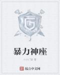 小说：暴力神座，作者：小小门徒