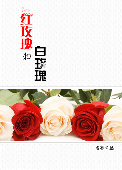 小说：红玫瑰和白玫瑰GL，作者：爱有多远
