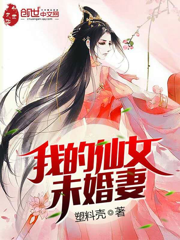 小说：我的仙女未婚妻，作者：塑料壳