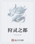 小说：狩灵之都，作者：时光沙粒