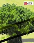 小说：洪荒之榕植万界，作者：千古一傲人