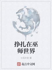 小说：挣扎在巫师世界，作者：七风半堂