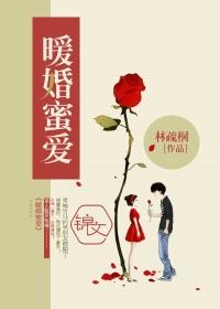 小说：暖婚蜜爱，作者：林疏桐