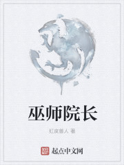 小说：巫师院长，作者：红皮兽人