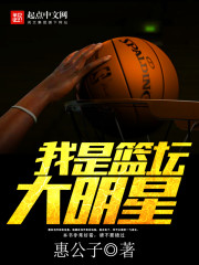 小说：我是篮坛大明星，作者：惠公子