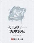 小说：天上掉下一块冲浪板，作者：游仙大镖客