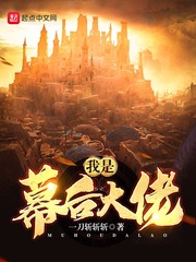 小说：我是幕后大佬，作者：一刀斩斩斩