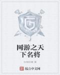 小说：网游之天下名将，作者：封禅剑意