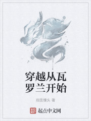 小说：穿越从瓦罗兰开始，作者：捞面馒头