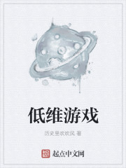 小说：低维游戏，作者：历史里吹吹风