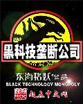 小说：黑科技垄断公司，作者：东海猪妖