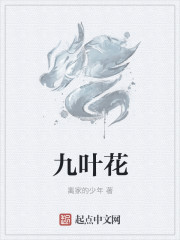 小说：九叶花，作者：离家的少年