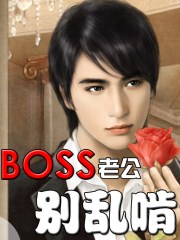 小说：BOSS老公别乱啃，作者：碟碎玉莹