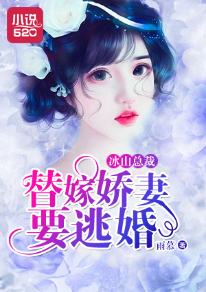 小说：冰山总裁：替嫁娇妻要逃婚，作者：雨慕