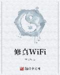 小说：修真WiFi，作者：风之啸