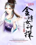 小说：金牌女神探，作者：沐沐浅