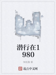 小说：我在1980，作者：锦炫澹