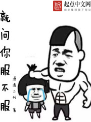 小说：最强服不服系统，作者：潇洒二代