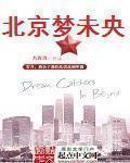 小说：北京梦未央，作者：九首诗