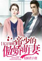 小说：亿万宠婚：帝少的傲娇萌妻，作者：有匪君子