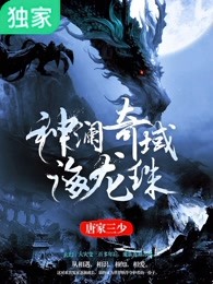 小说：神澜奇域海龙珠，作者：唐家三少