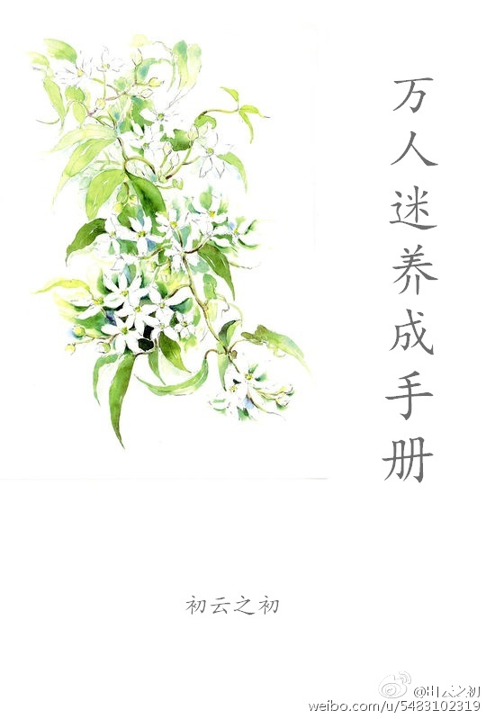 小说：万人迷养成手册（系统），作者：初云之初