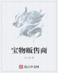 小说：宝物贩售商，作者：五六骑