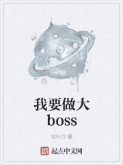小说：我要做大boss，作者：枯叶刀