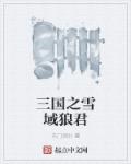 小说：三国之雪域狼君，作者：东门尚旪