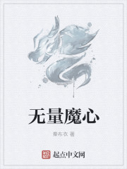 小说：无量魔心，作者：秦布衣