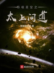 小说：吞噬星空之太上问道，作者：落寞随风