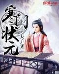 小说：寒门状元，作者：天子