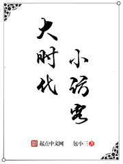 小说：大时代小访客，作者：包小三