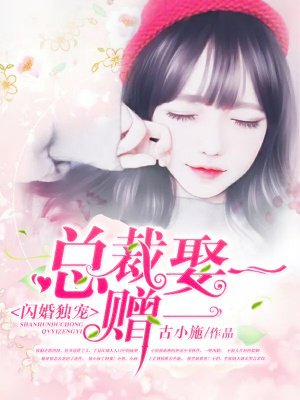 小说：闪婚独宠：总裁娶一赠一，作者：古小施