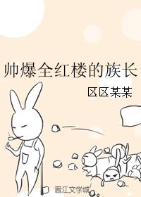 小说：帅爆全红楼的族长，作者：区区某某