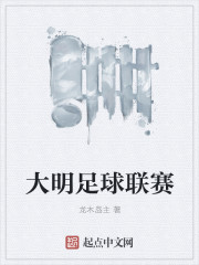 小说：大明足球联赛，作者：龙木岛主