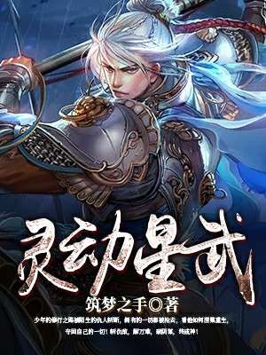 小说：灵动星武，作者：筑梦之手