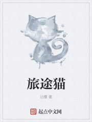 小说：旅途猫，作者：沾樱