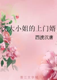 小说：沈大小姐的上门婿，作者：西渡汉唐