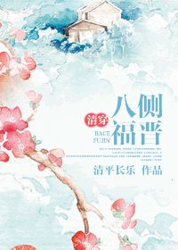 小说：清穿八侧福晋，作者：清平长乐