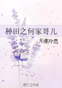 小说：种田之何家哥儿，作者：月清冷然