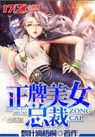 小说：正牌美女总裁，作者：飘叶滴梧桐