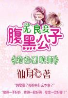 小说：绝色召唤师：腹黑公子无良妾，作者：仙月