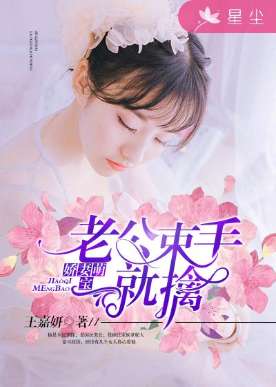 小说：娇妻萌宝：老公，束手就擒，作者：王嘉妍