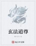 小说：玄法道尊，作者：枫叶追忆